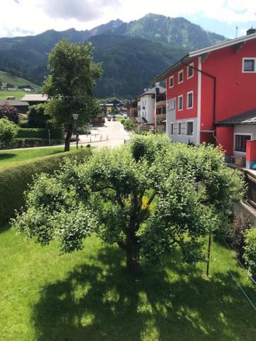 Elto Ferienhaus *